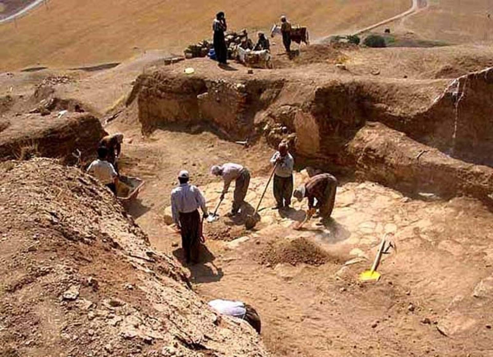 زیویه