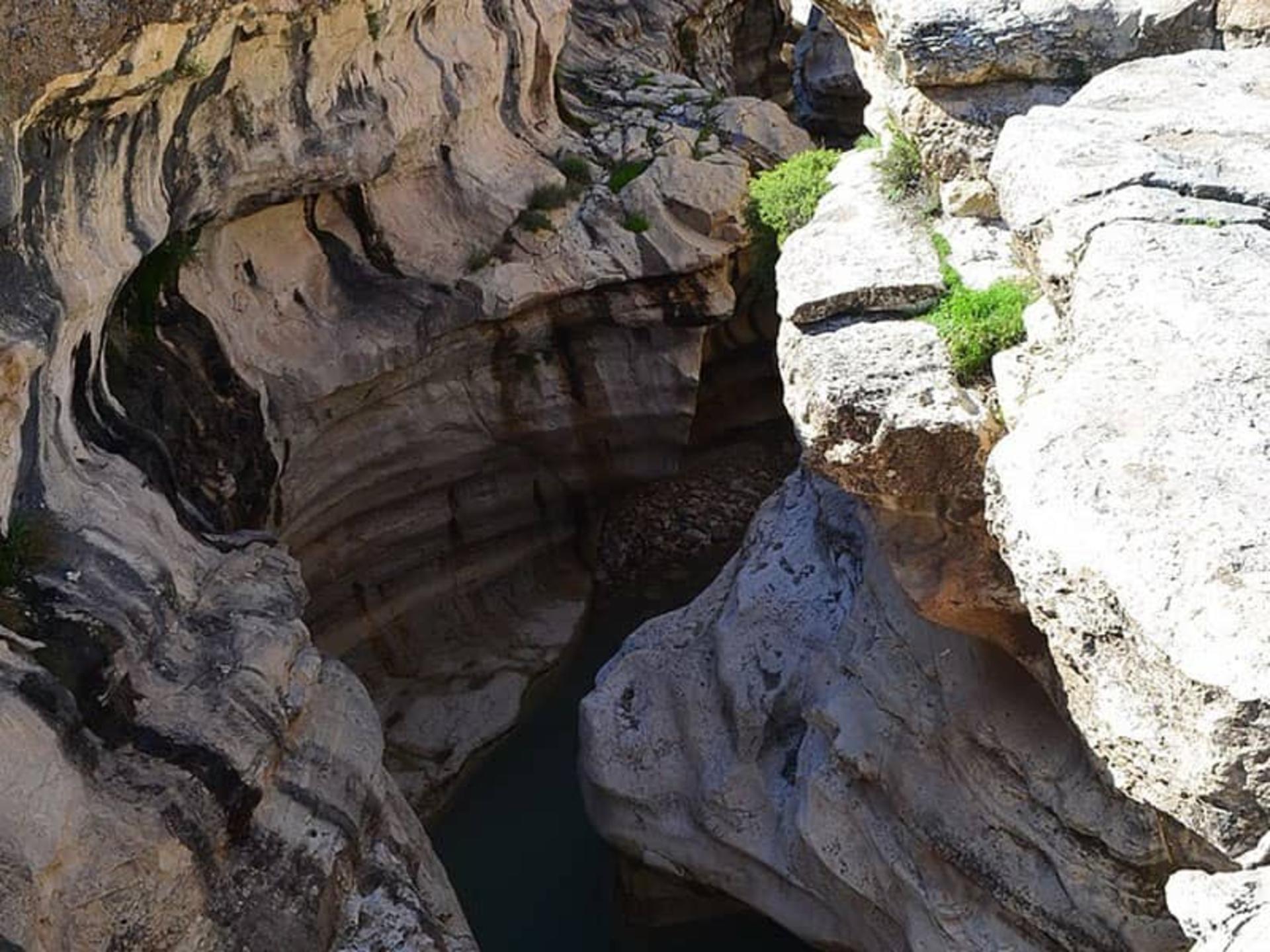 تنگه رازیانه
