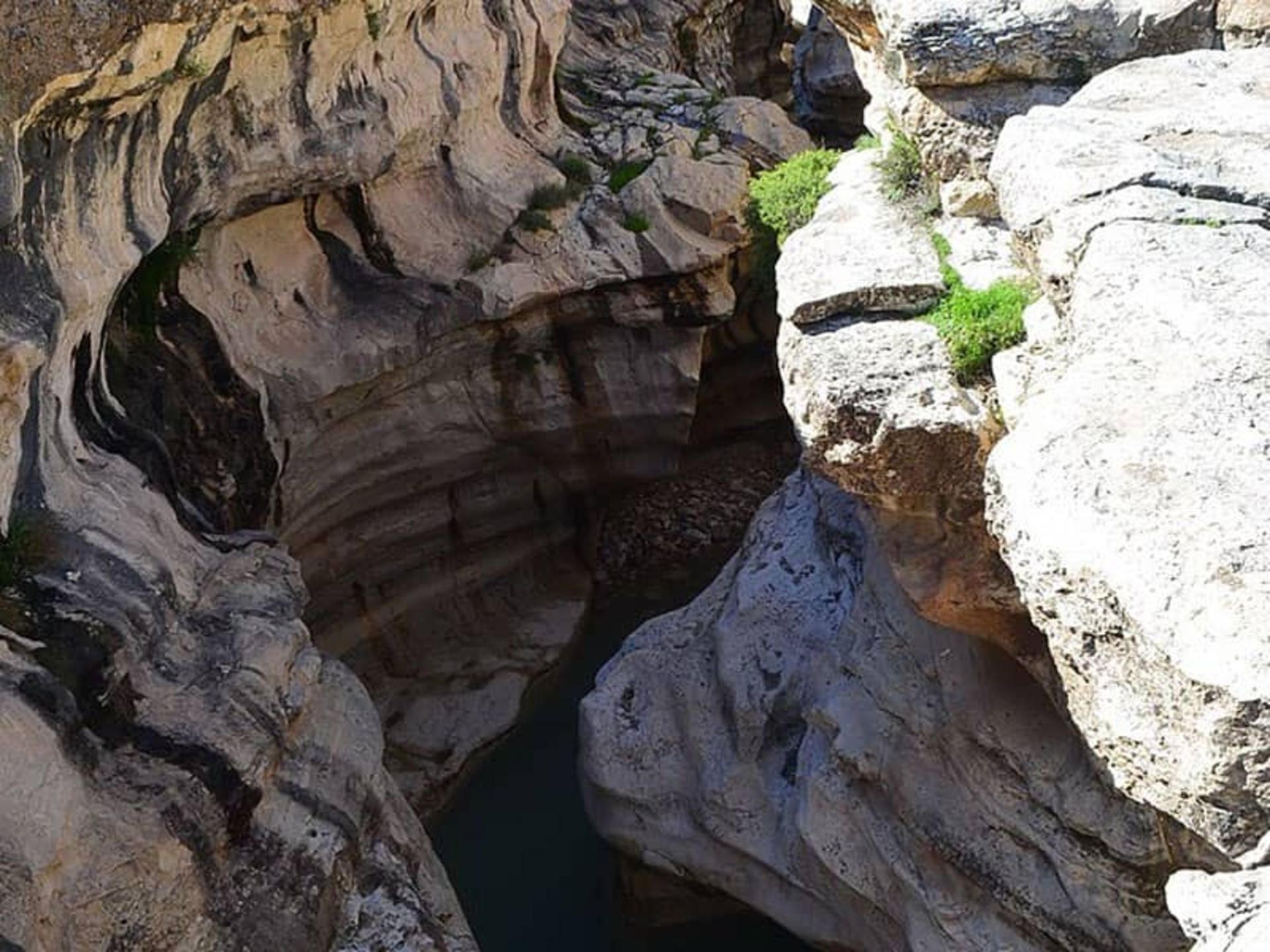 تنگه رازیانه