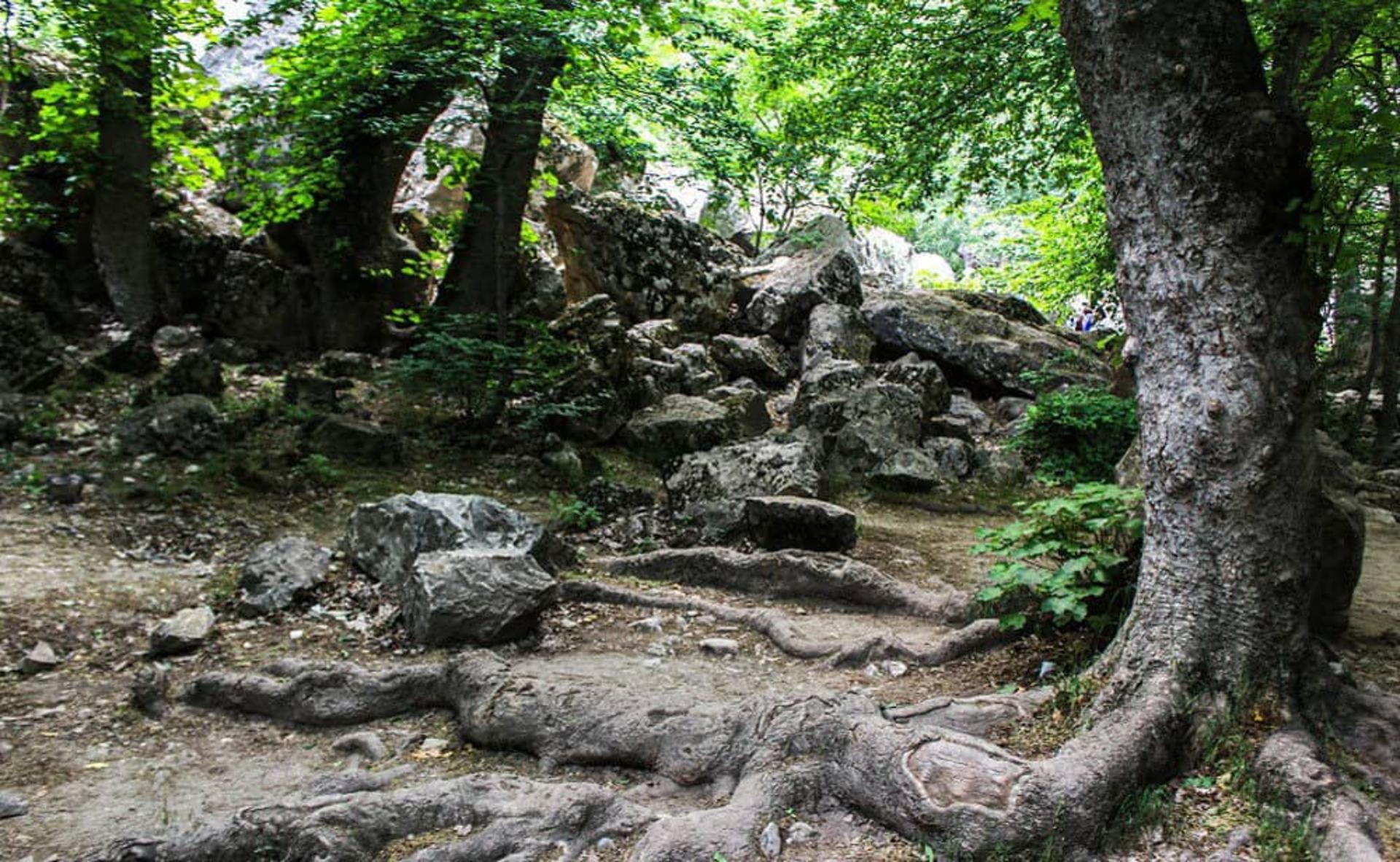 آبشار زیبای آق سو 
