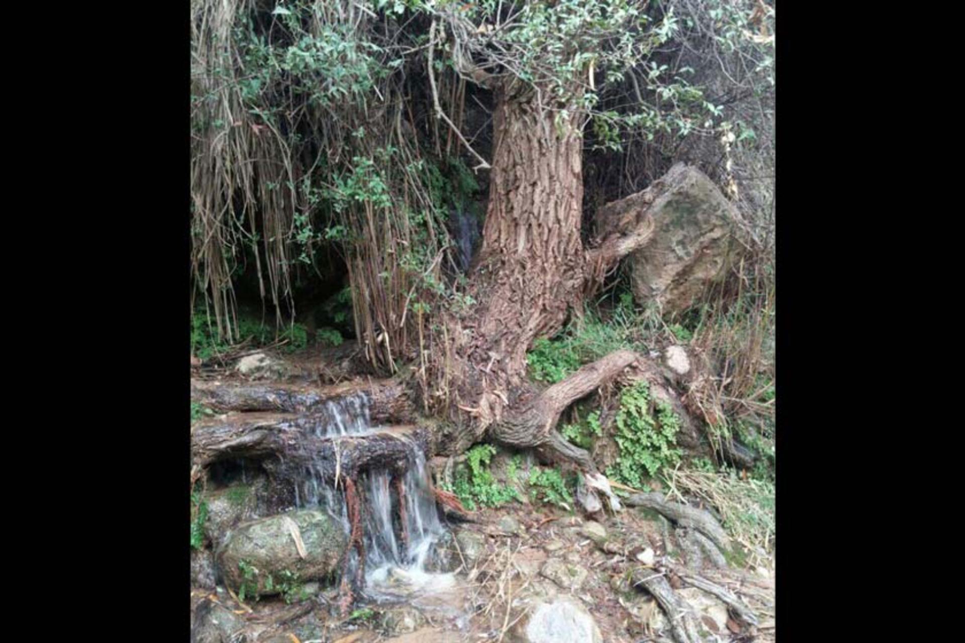 روستای گردشگری دیونی
