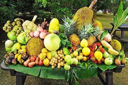 مزرعه میوه های استوایی