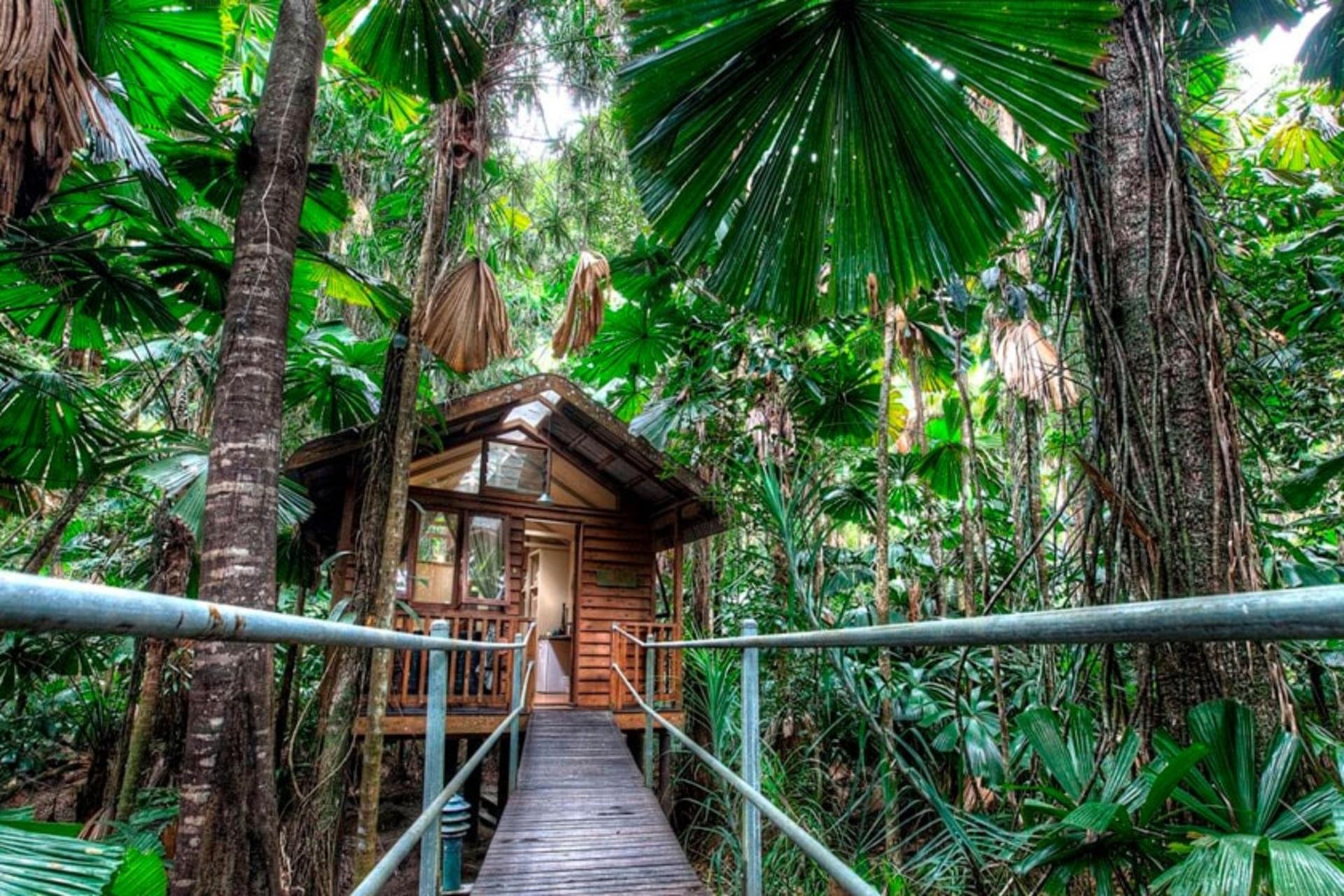 اکولاژ؛ اقامتگاه سازگار با طبیعت