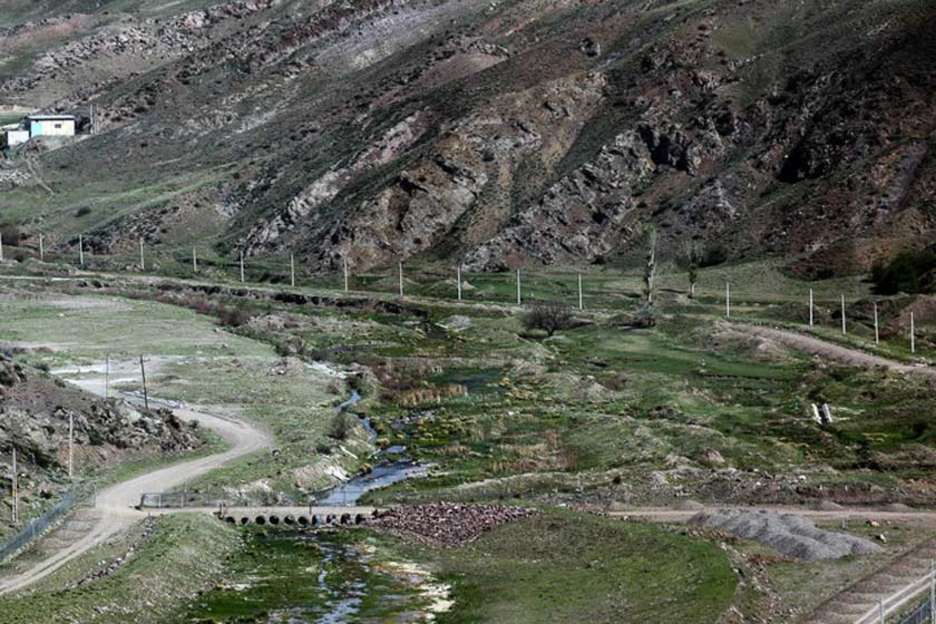 اهر چای