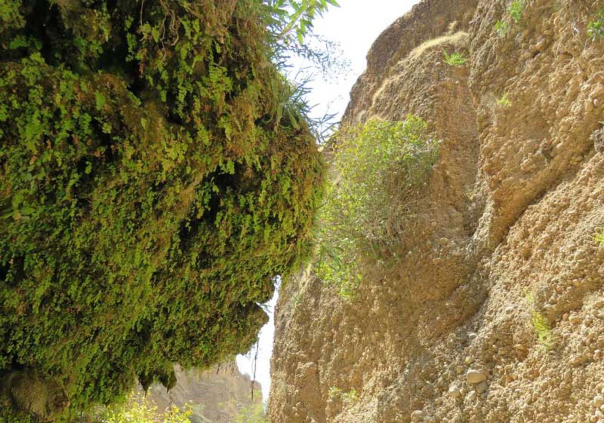 طبیعت زیبای دره انار