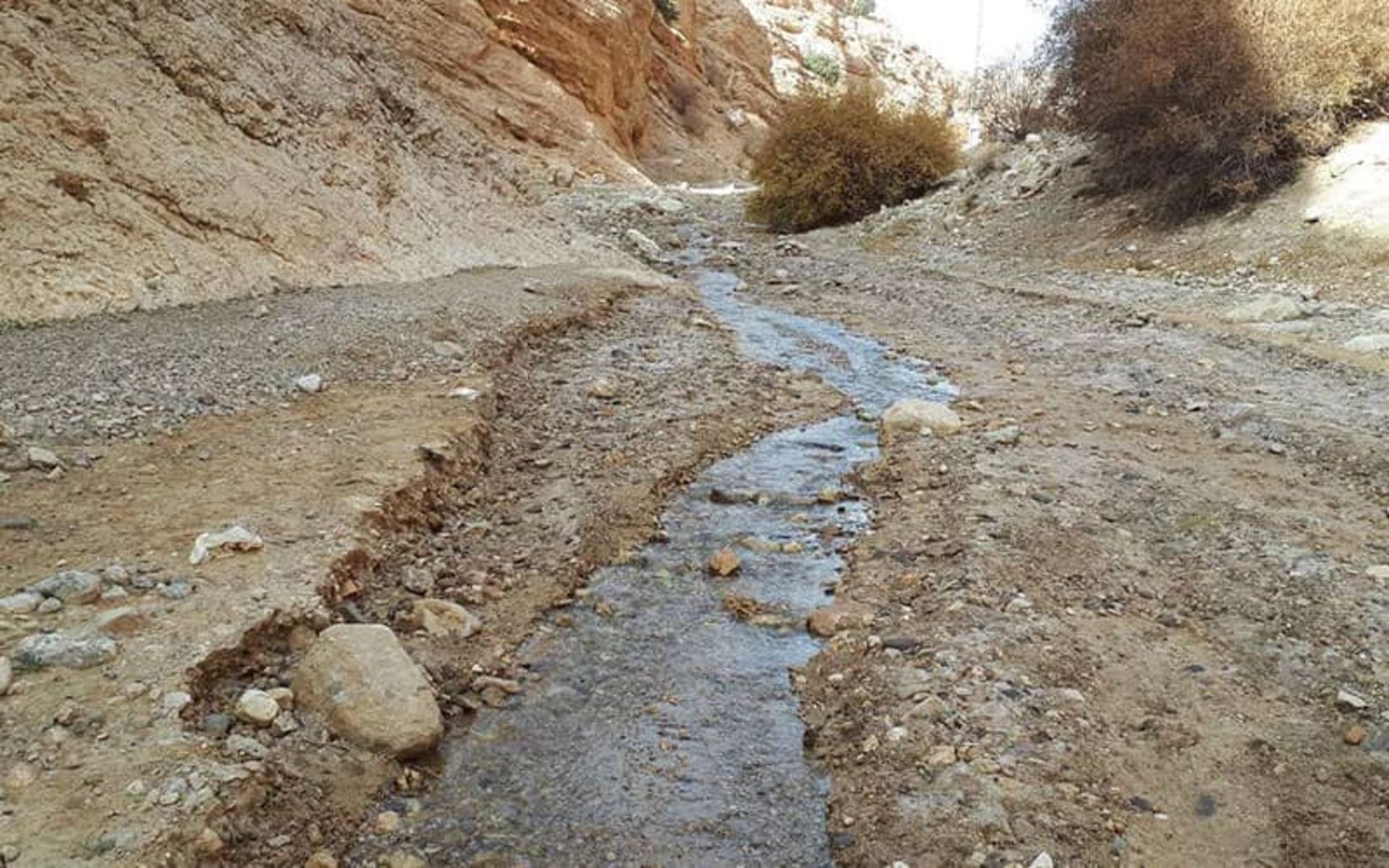 چشمه آب معدنی قرمرض