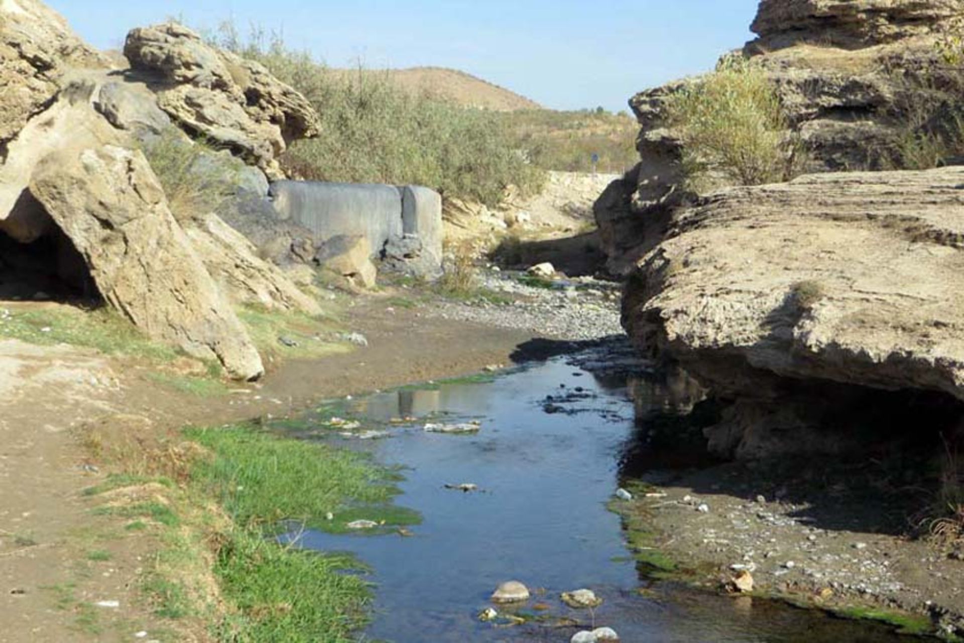 چشمه شورسو چایباغی