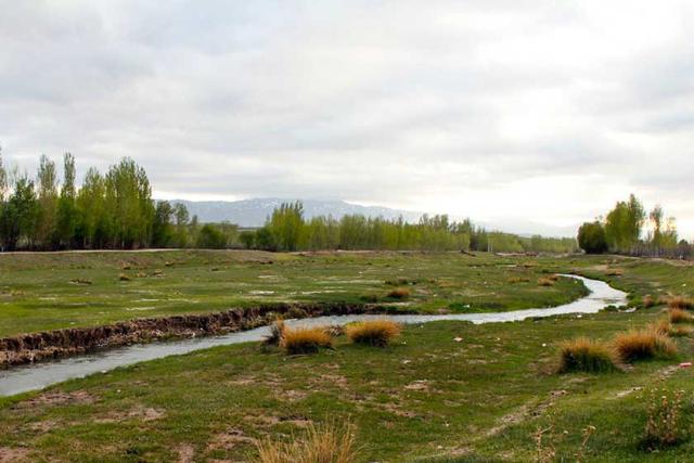 اهر چای