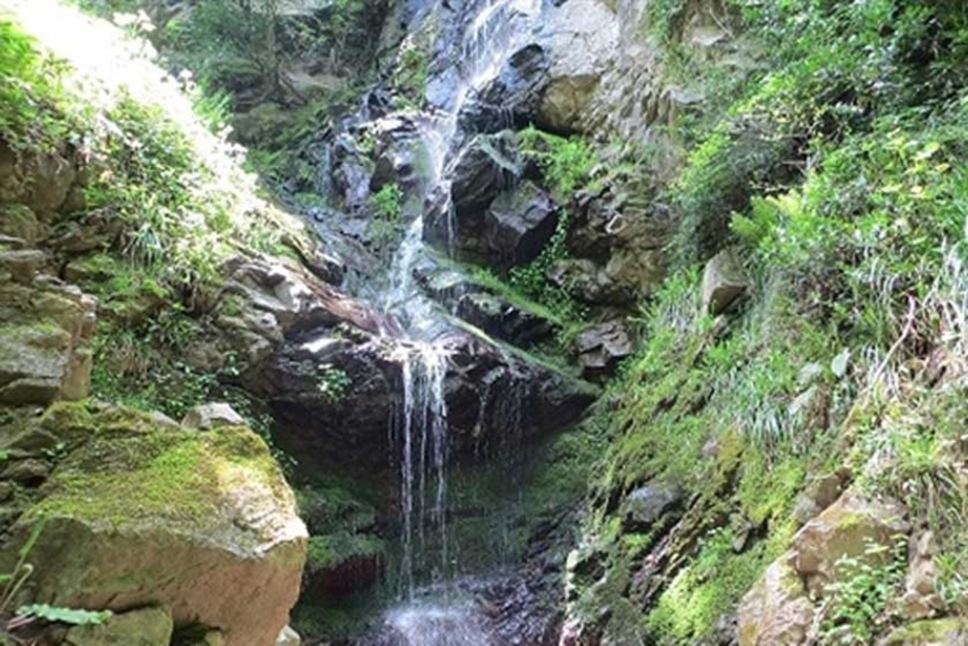 منطقه شورکش