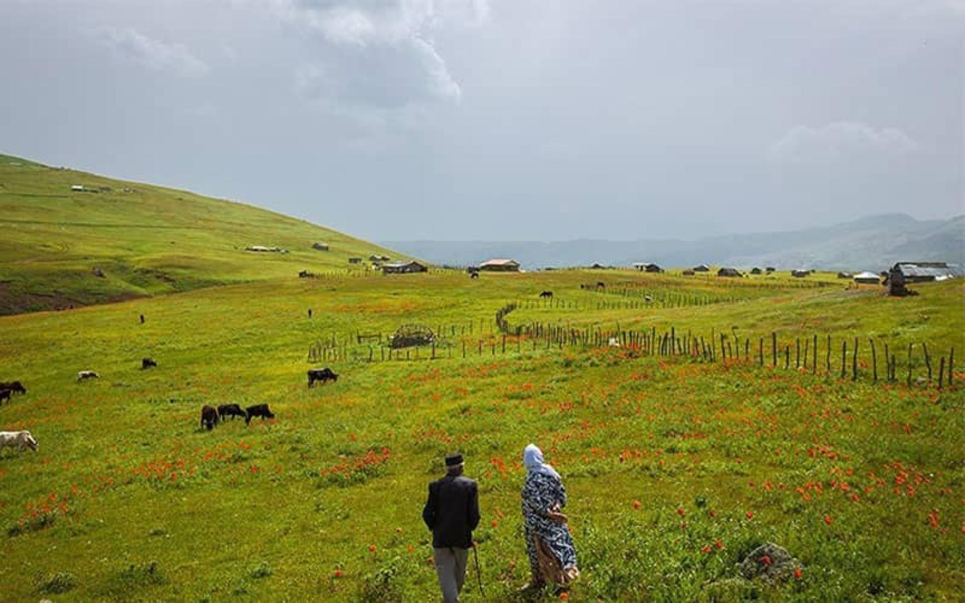 عکس شکردشت تالش