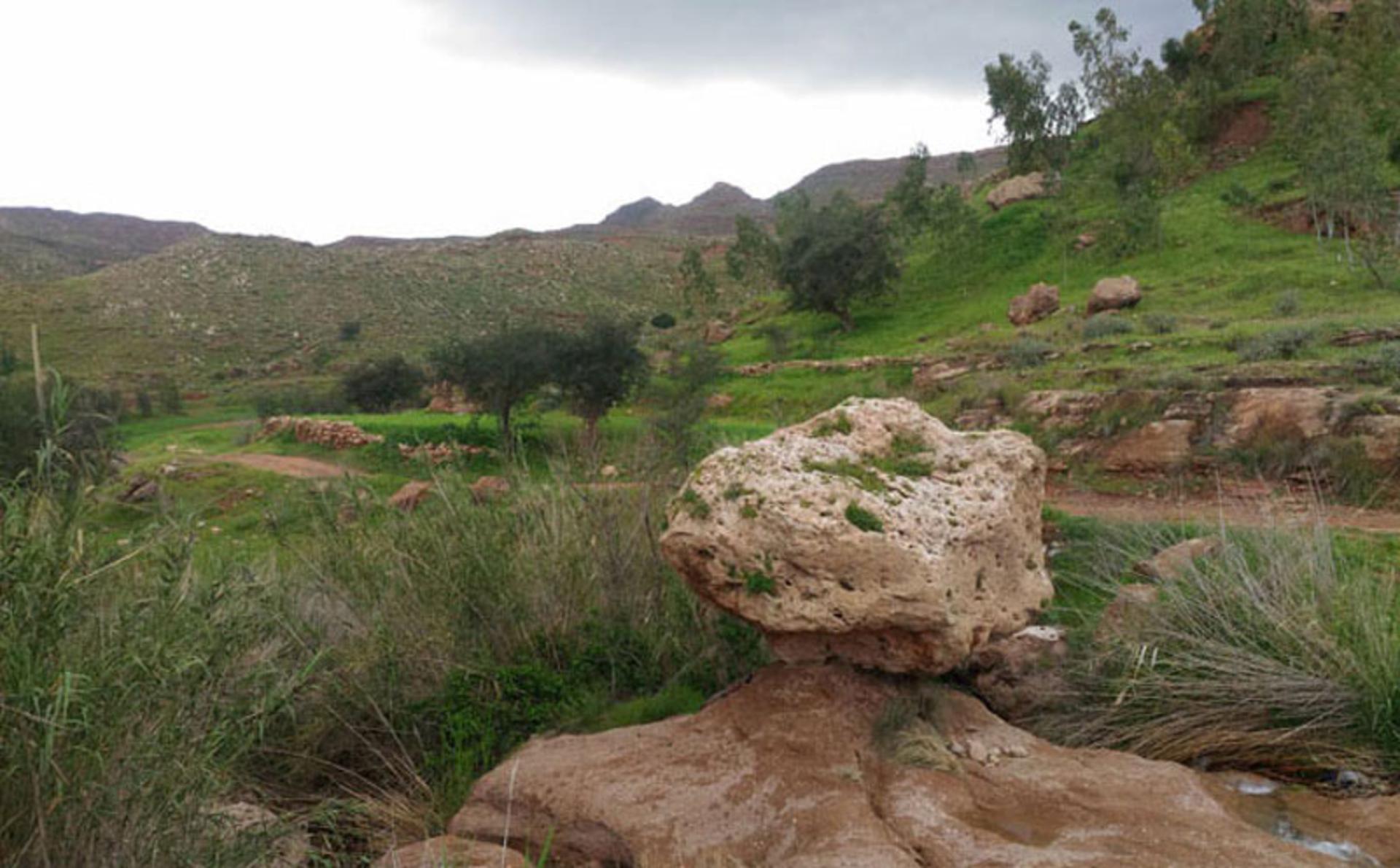 دژ محمدعلی‌خان