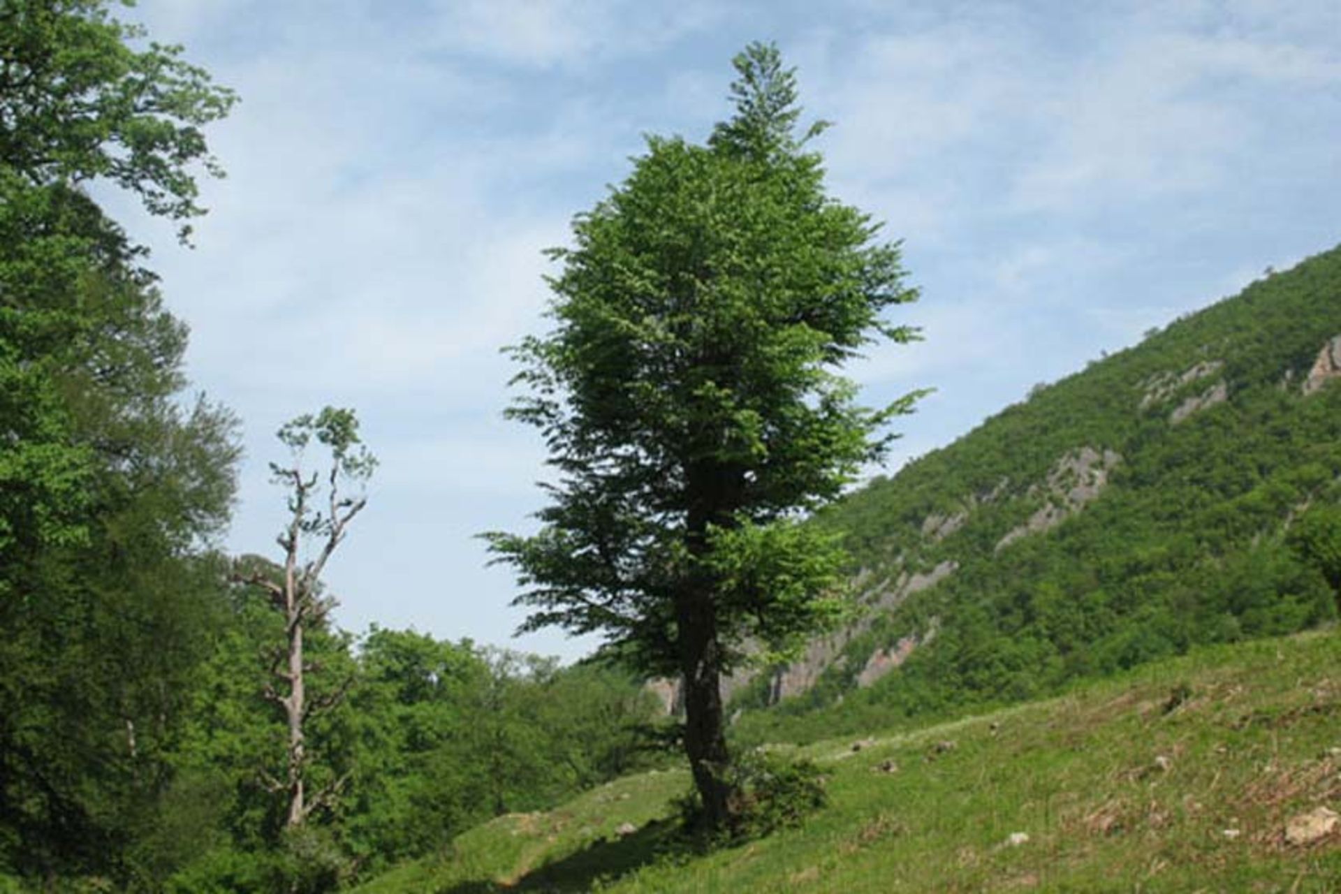 روستای چناربن زارم