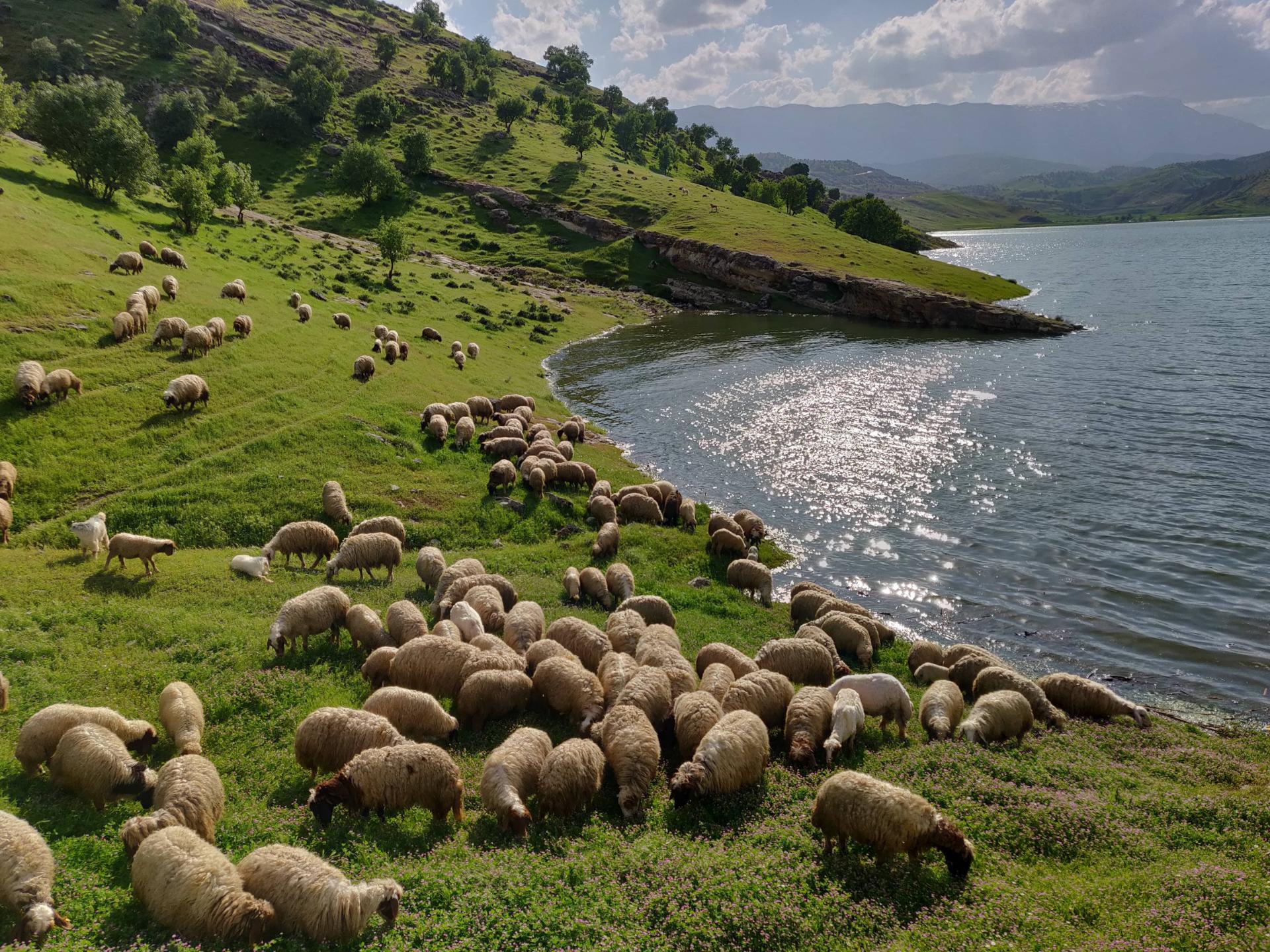 تنگه تماشایی و شگفت‌انگیز کافرین