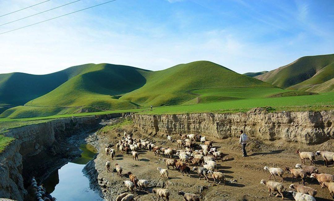 ترکمن صحرا