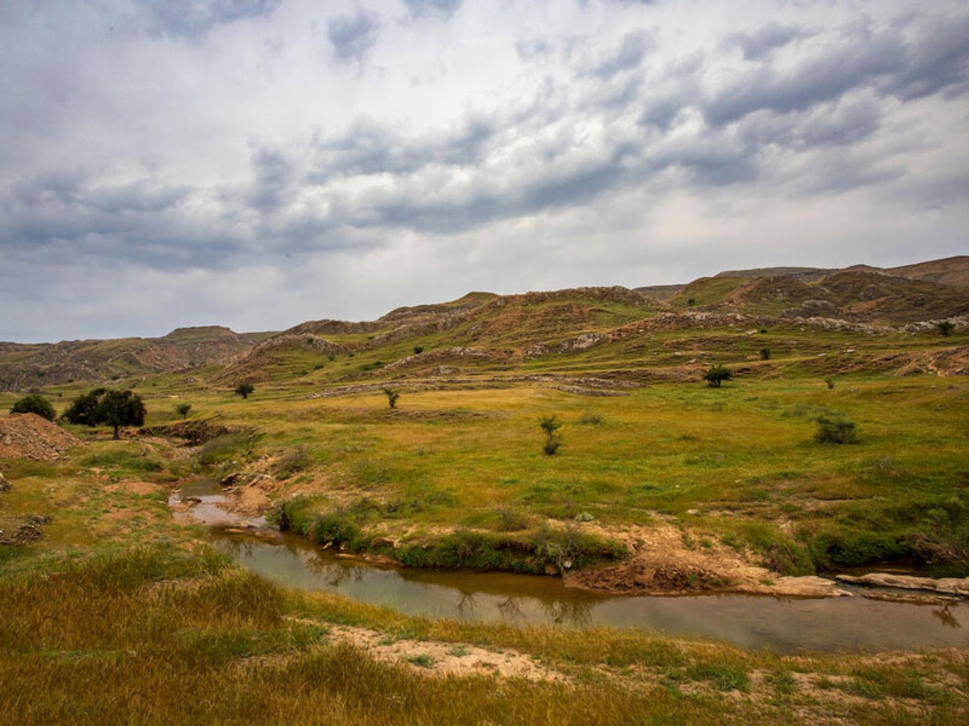 طبیعت و دشت سرسبز سردشت دزفول خوزستان 3
