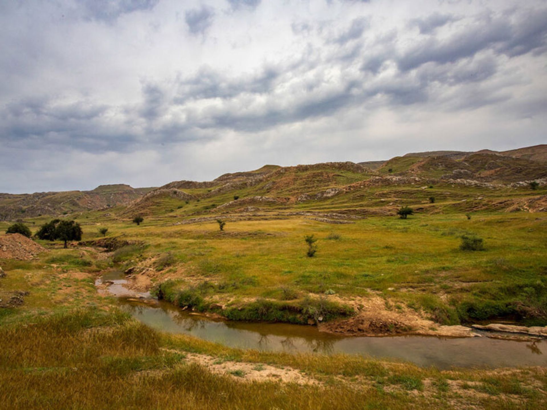 طبیعت و دشت سرسبز سردشت دزفول خوزستان 3