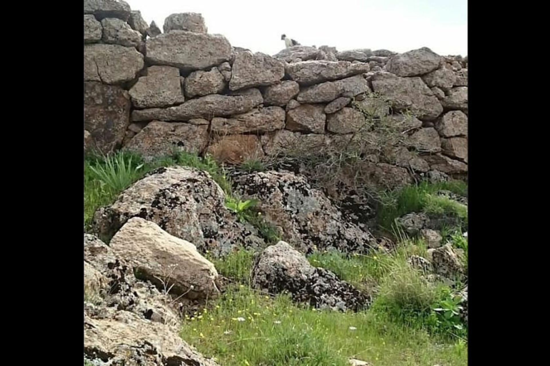 قلعه جان آقا