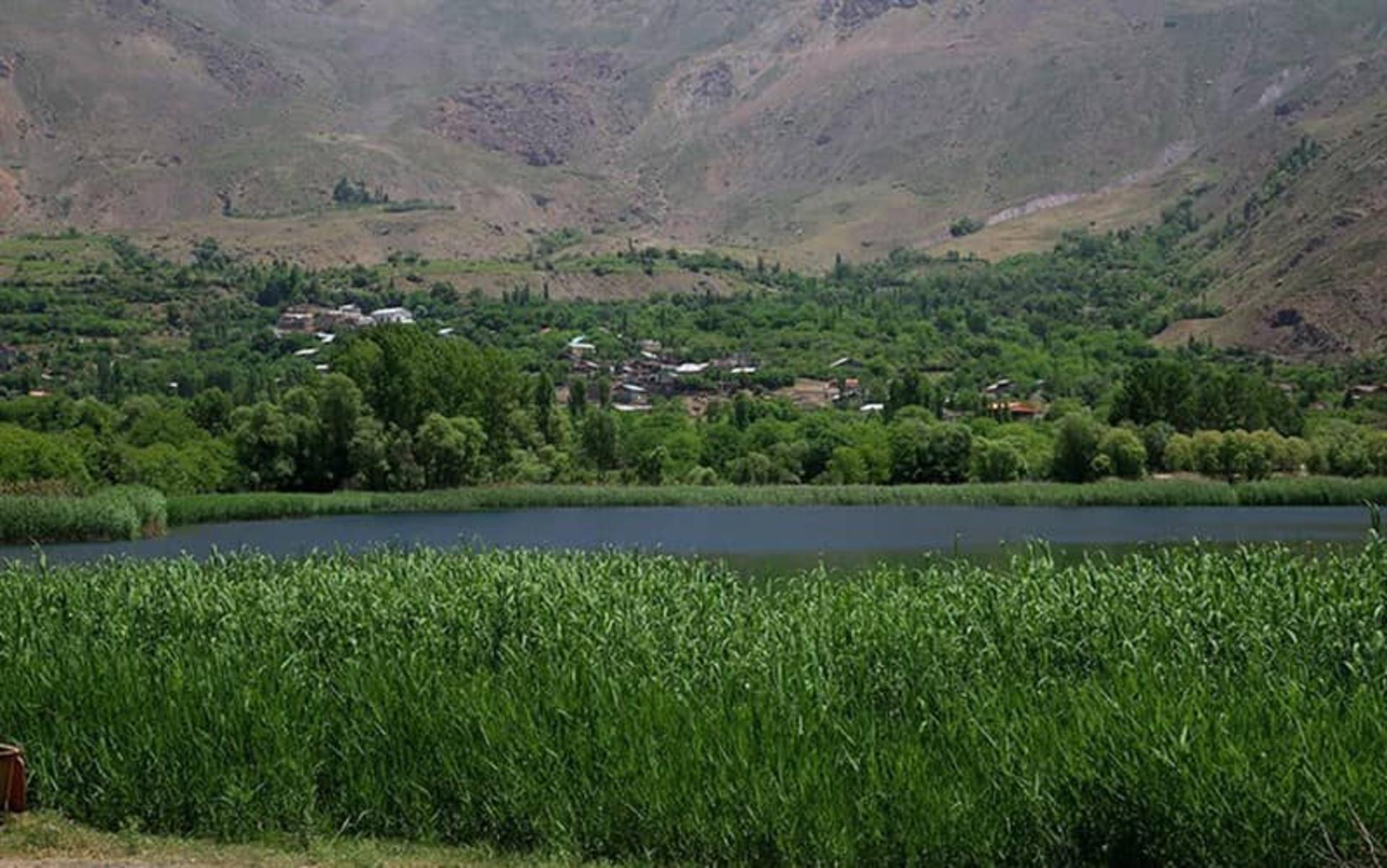 پوشش گیاهی دریاچه اوان