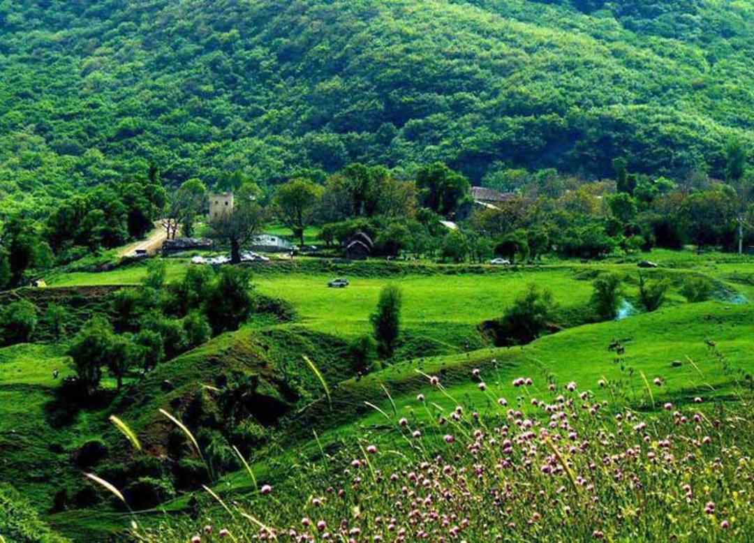 طبیعت موران