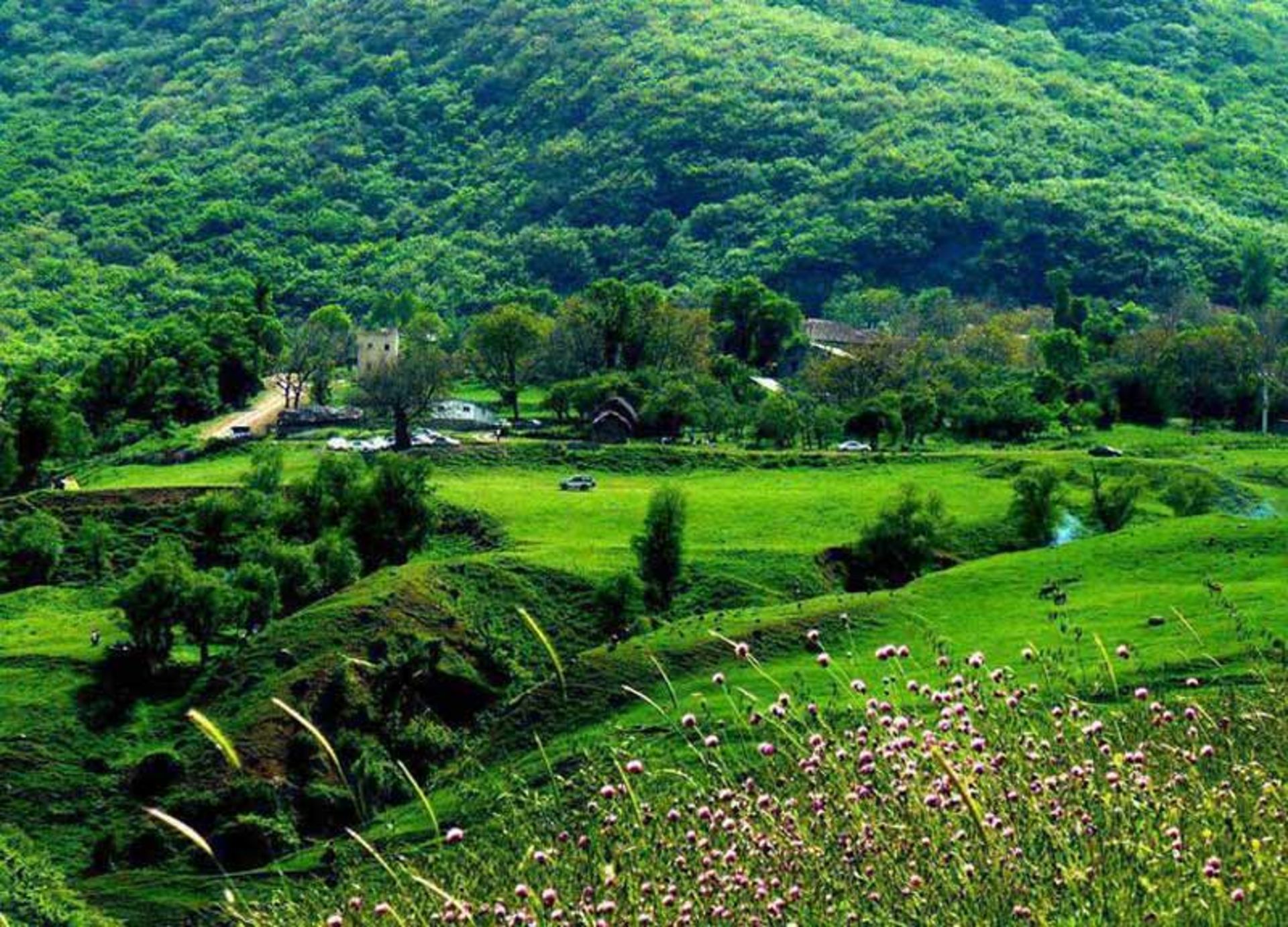 طبیعت موران