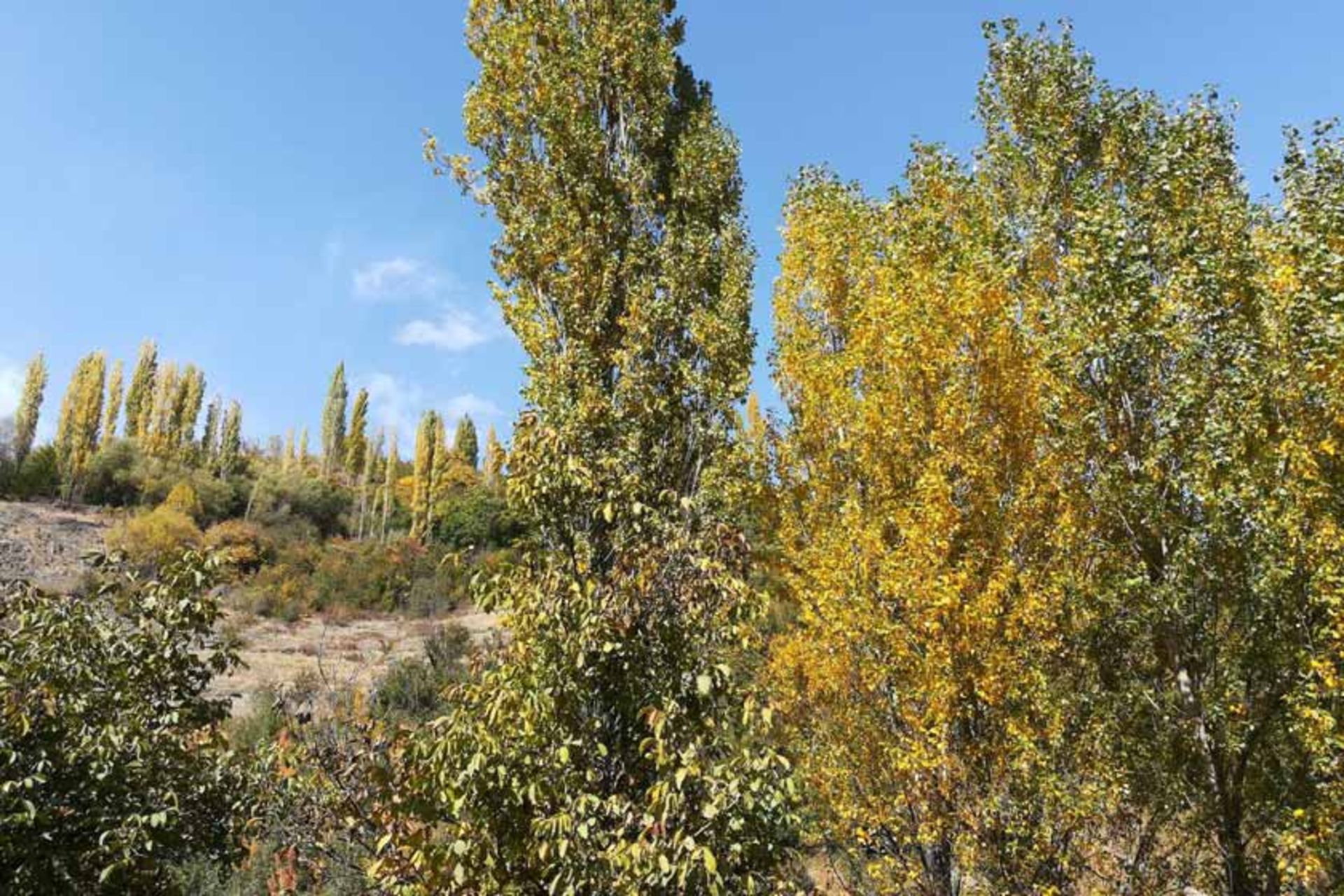 روستای زشک