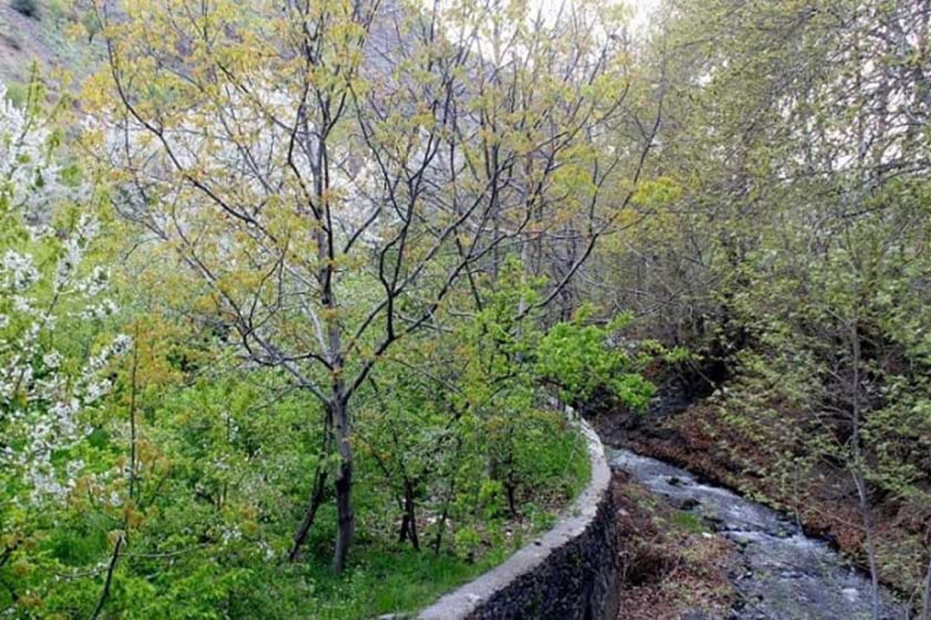 روستای نغندر