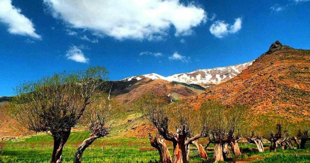 روستای افجه