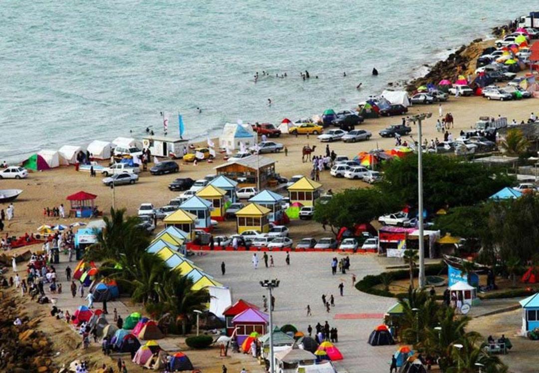 درختان نخل و گردشگران در سواحل چابهار