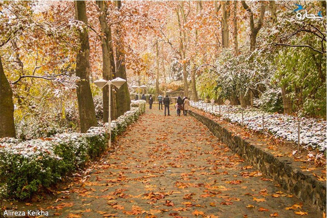 پیاده راه پارک جمشیدیه در پاییز