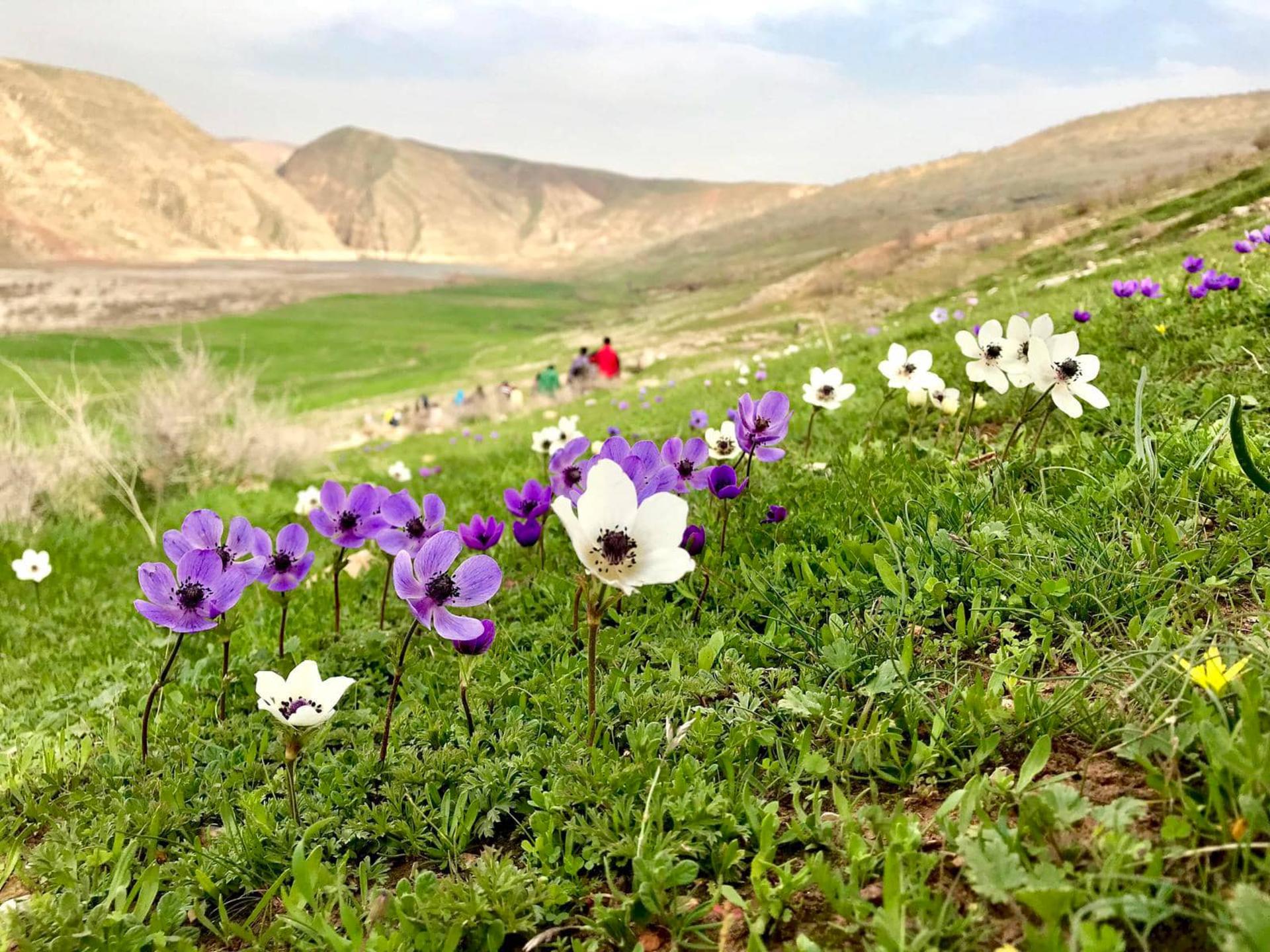 تنگه تماشایی و شگفت‌انگیز کافرین