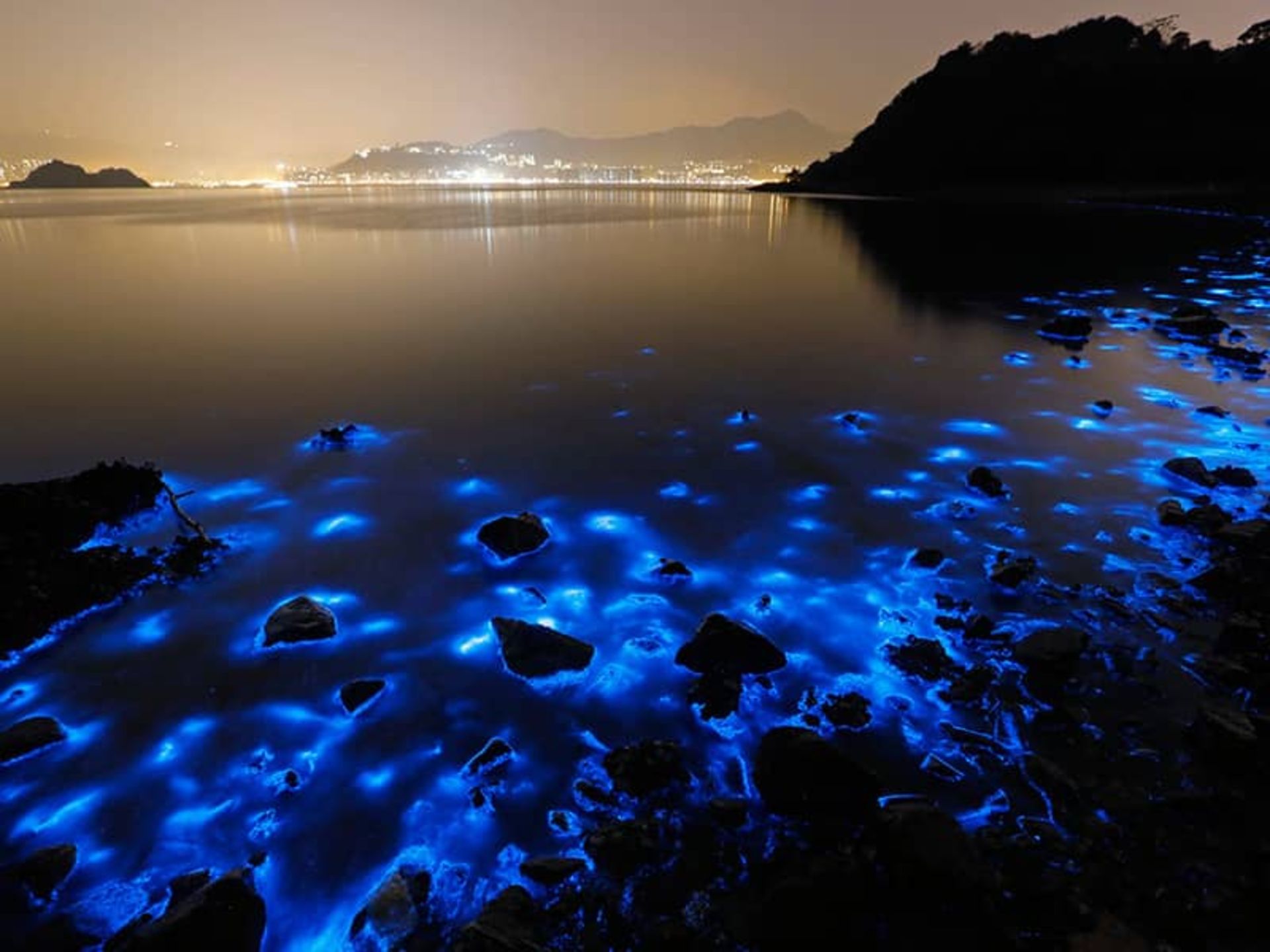 تالاب درخشان یا Luminous Lagoon در جامائیکا