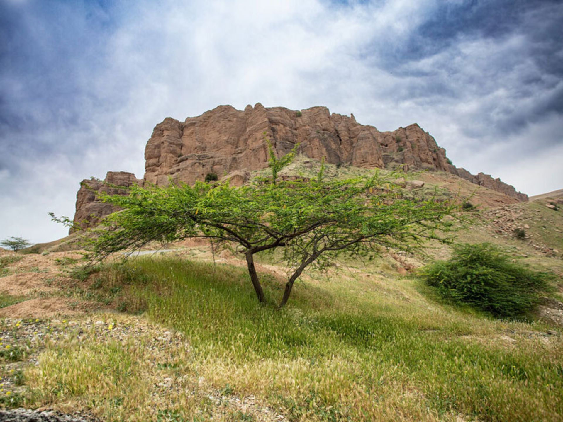 دژ محمد علی خان سردشت دزفول