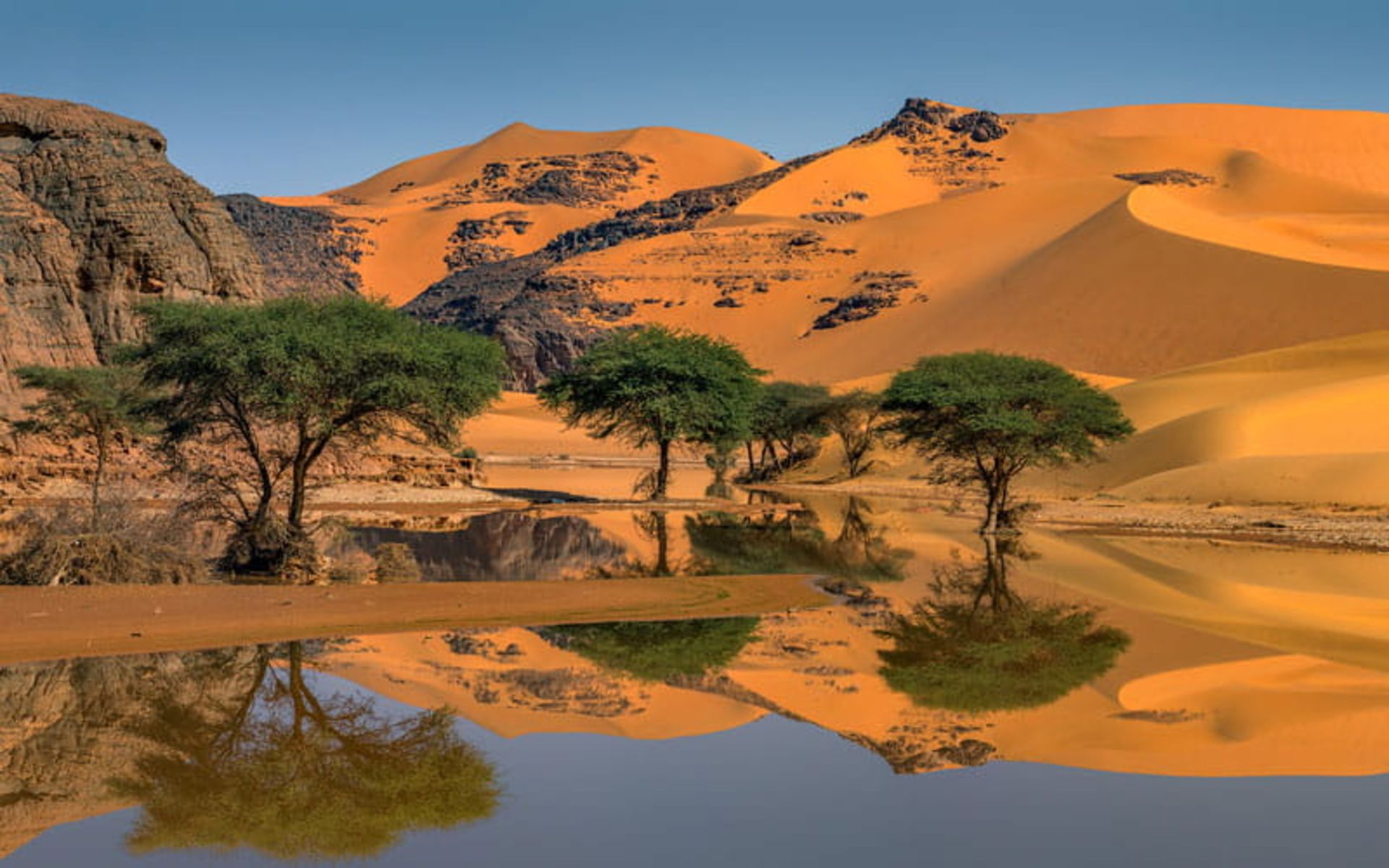 برکه داخل کویر الجزایر