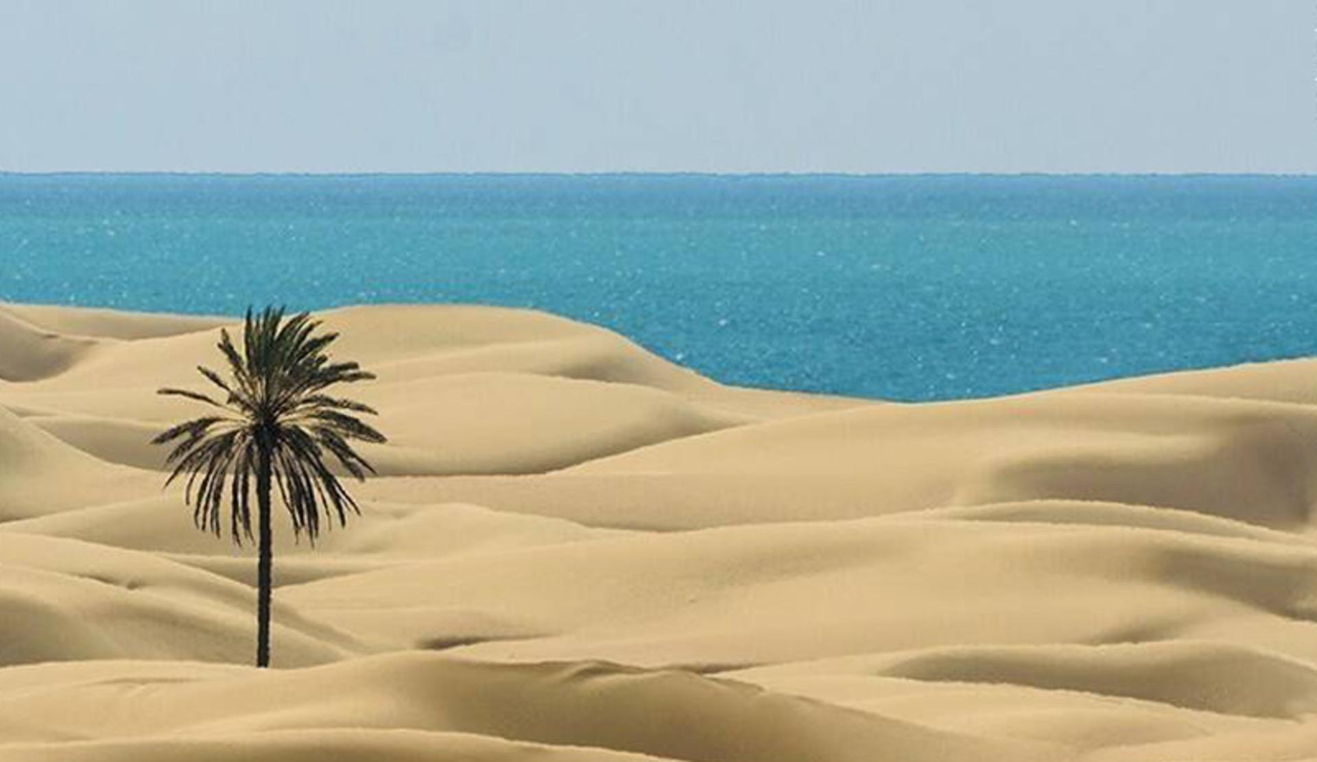 ساحل درک چابهار