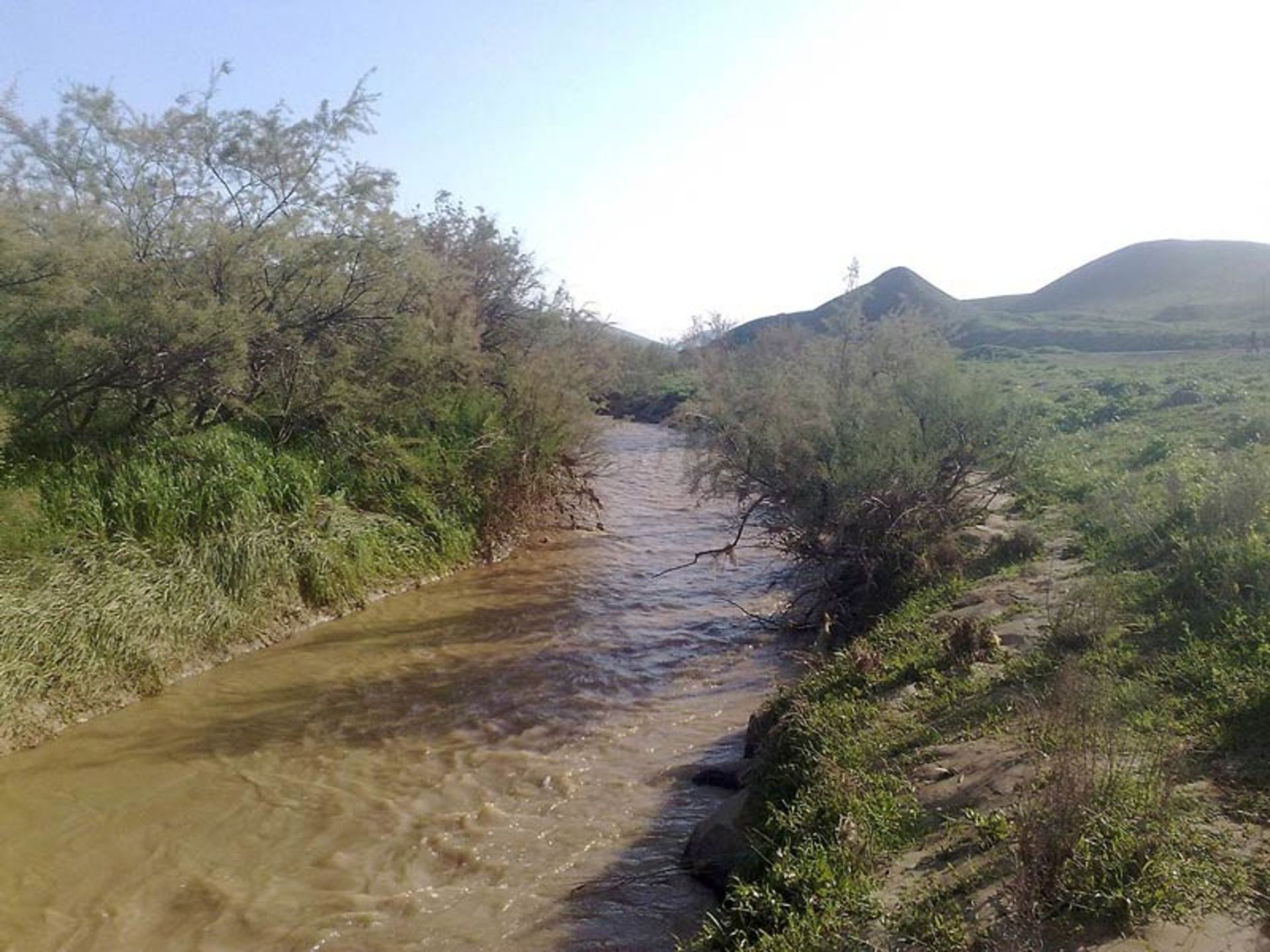 بالهارود