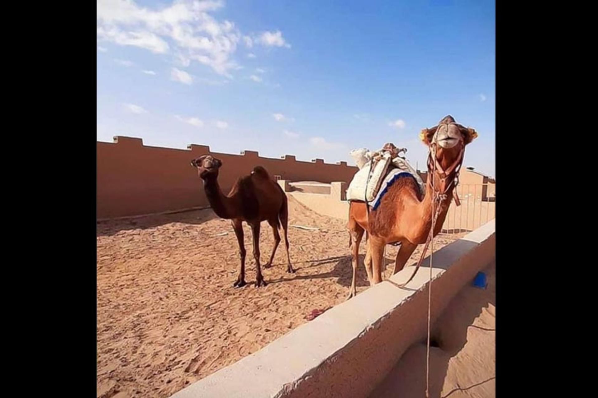 کمپ کویری هفت سنگ