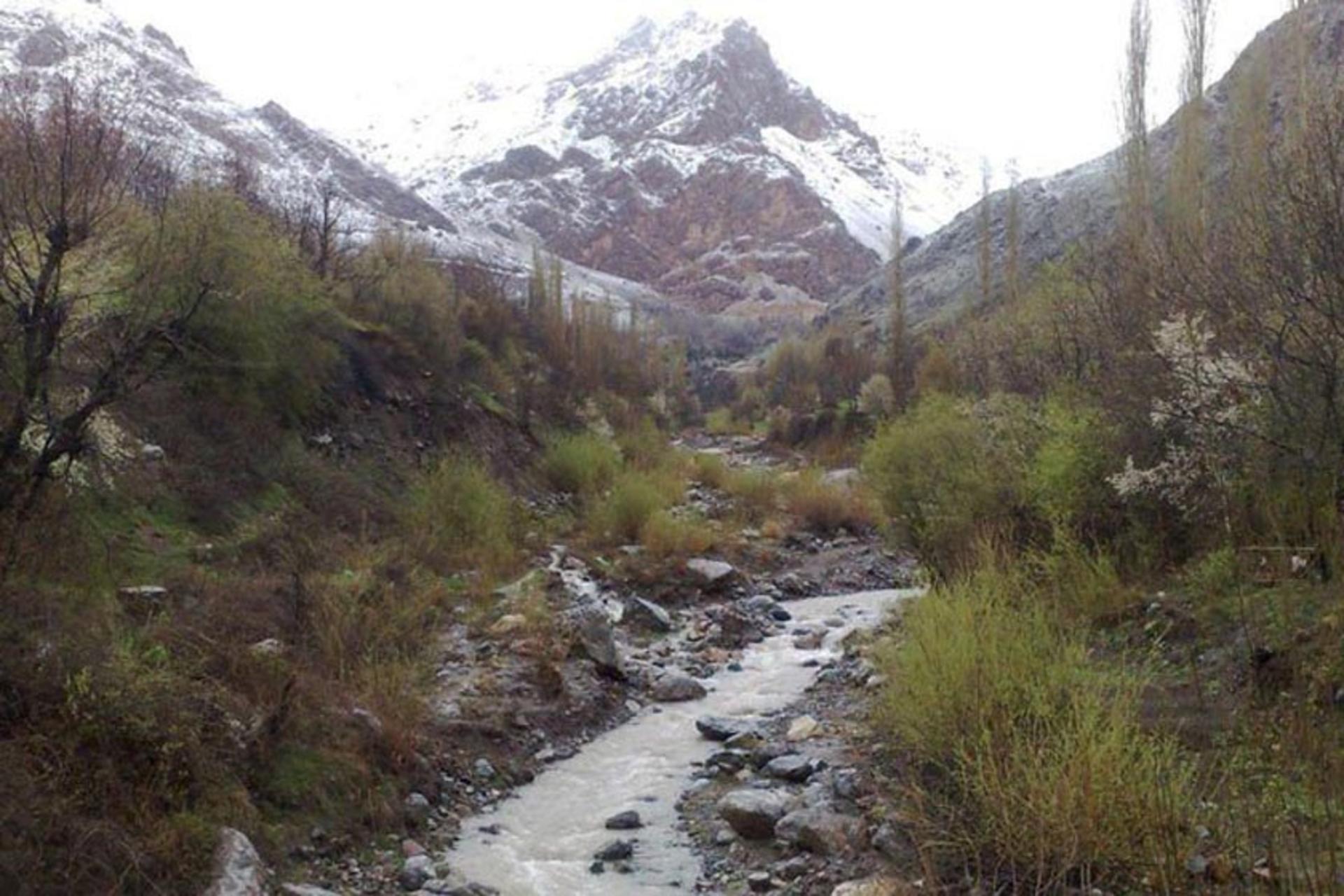 چشمه‌ الله بلاغی