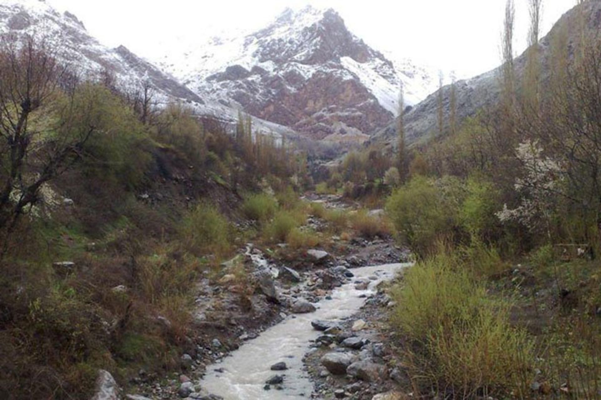 چشمه‌ الله بلاغی