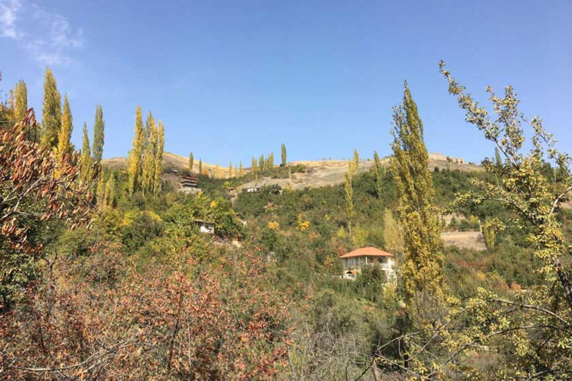 روستای زشک