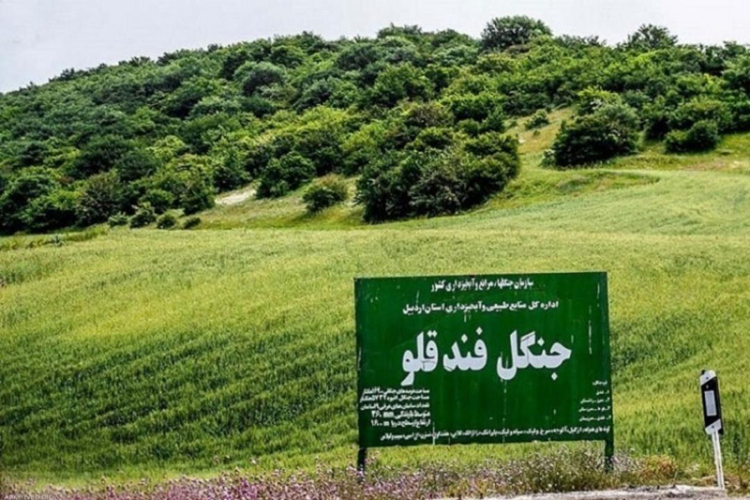 تابلو راهنما مسیر دسترسی به جنگل فندقلو