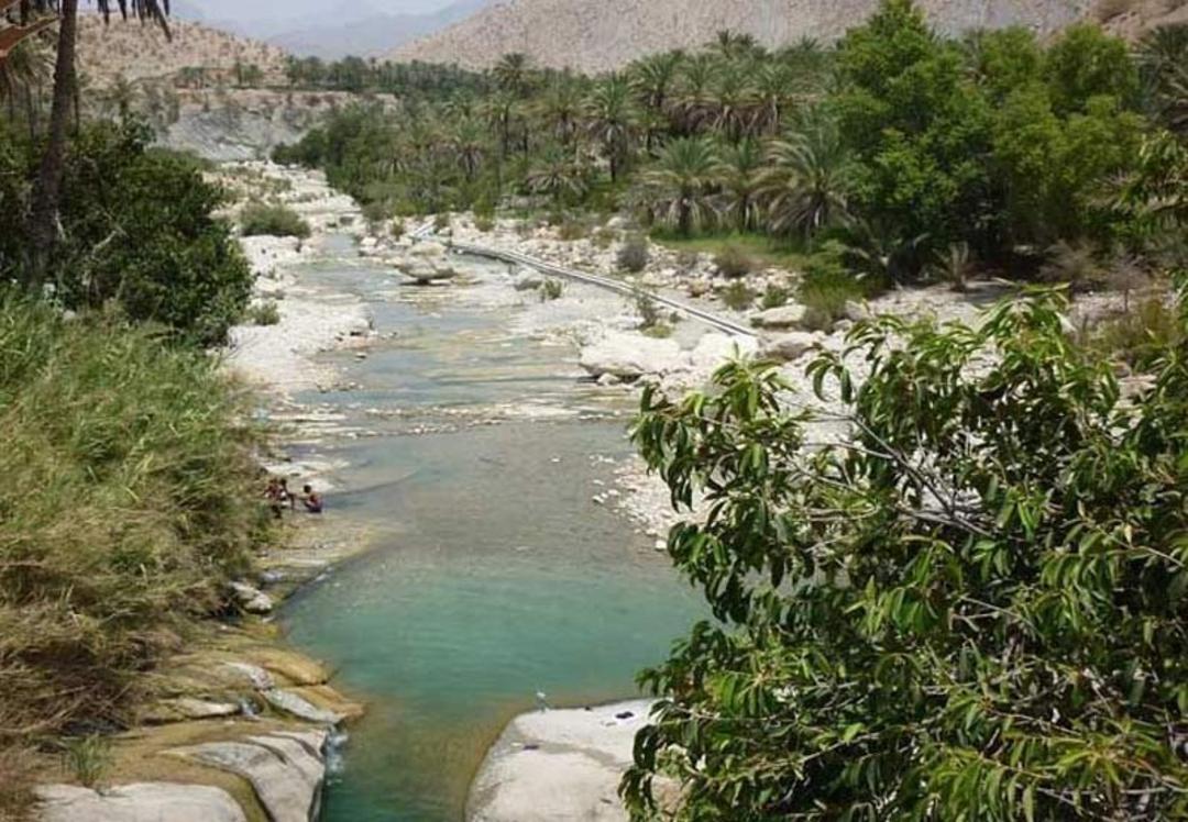 نخلستان و رودخانه روستای سیخوران بندر عباس