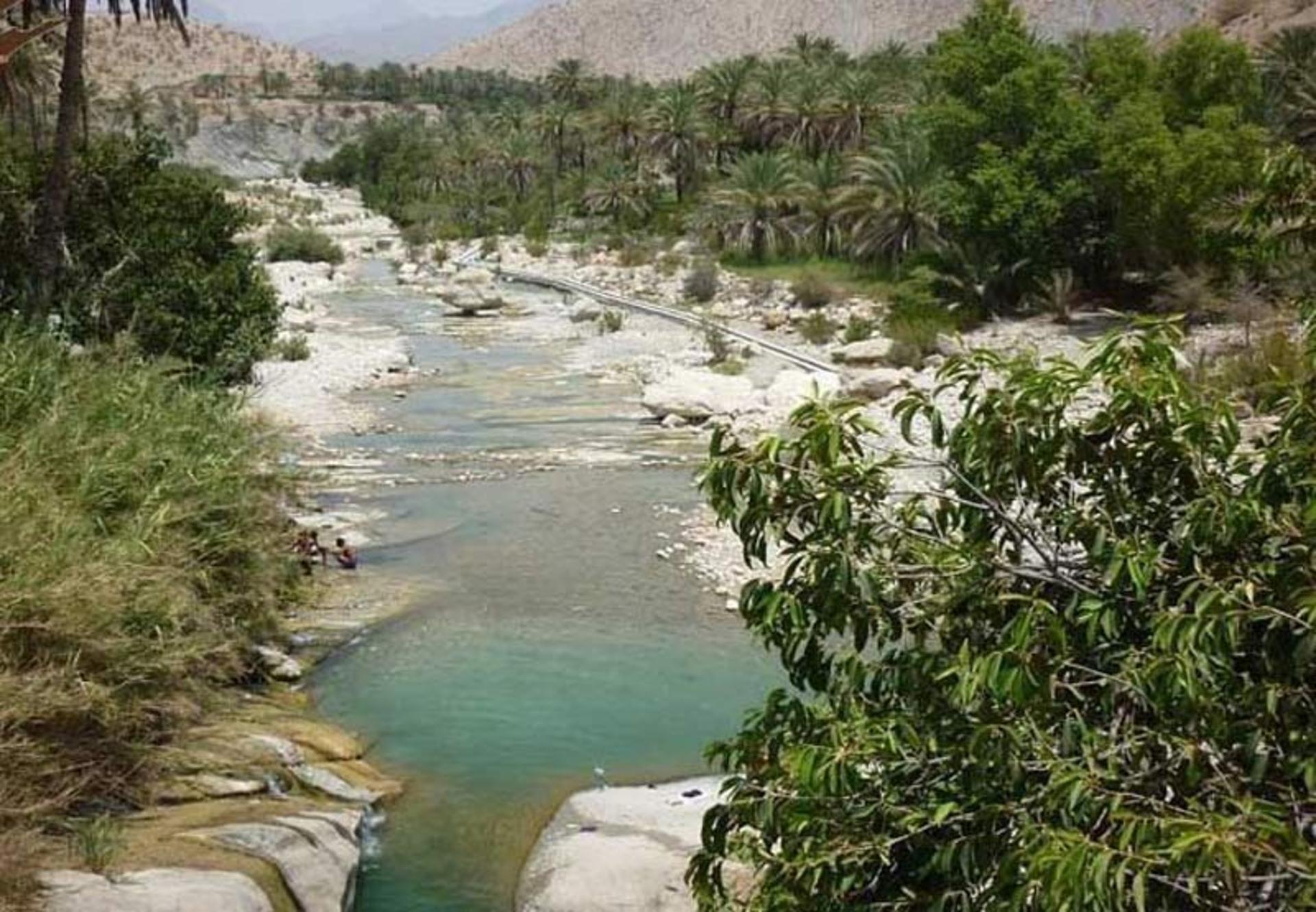 نخلستان و رودخانه روستای سیخوران بندر عباس