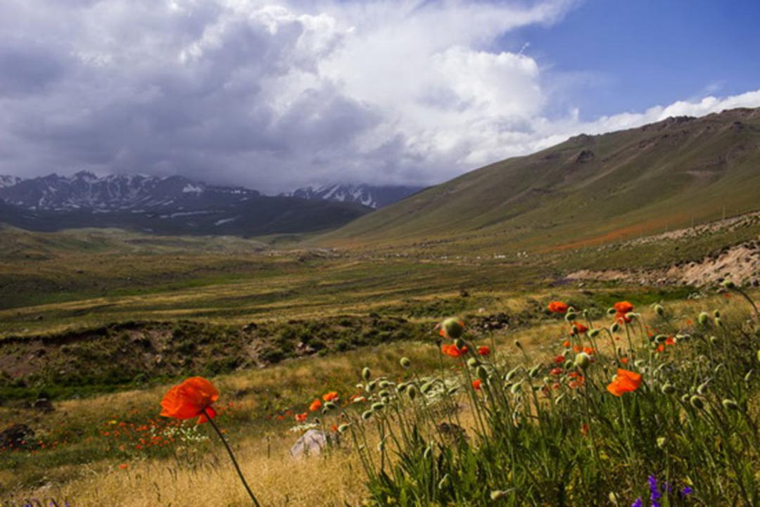 طبیعت زیبای آلوارس در آستانه فصل گرم
