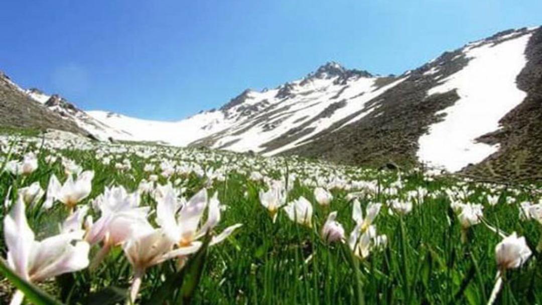 طبیعت زیبای بهاری تخت نادر همدان