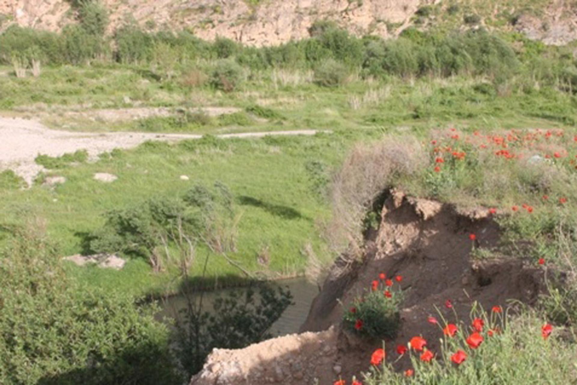 روستای ملوسان