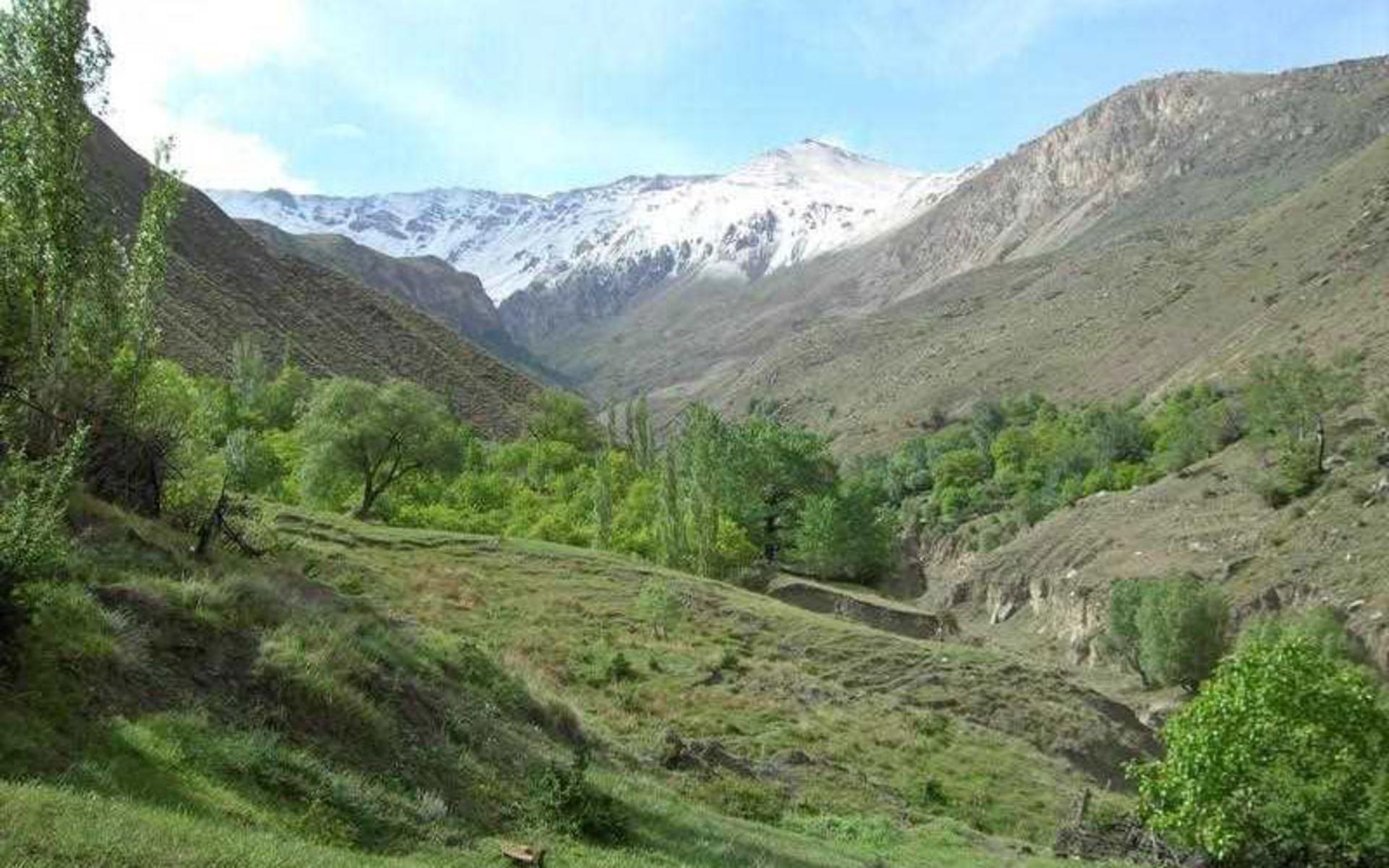 طبیعت شهر رینه در آمل