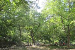 روستای عیش آباد