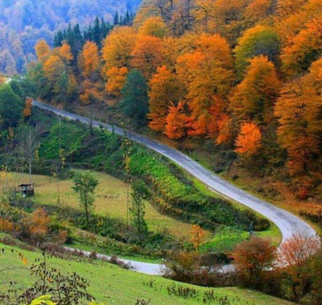 مسیر جنگل‌های شمالی در اطراف جاده فیروزکوه