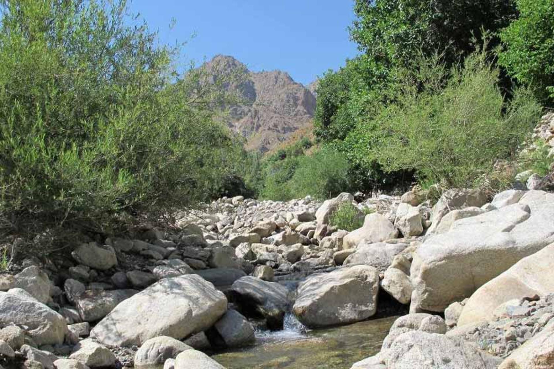 روستای عیش آباد