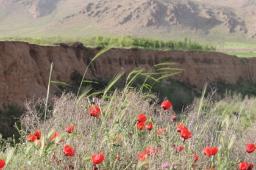 روستای ملوسان